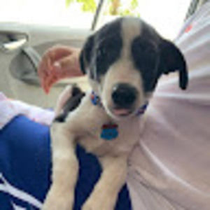 Meet your Posher, Juancardine